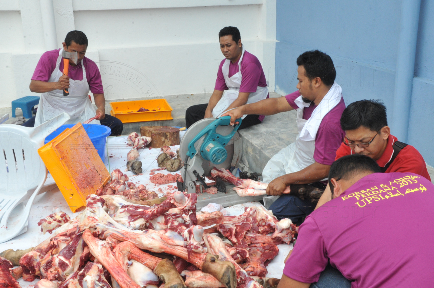 PRO15 150 KORBAN HAS 6984